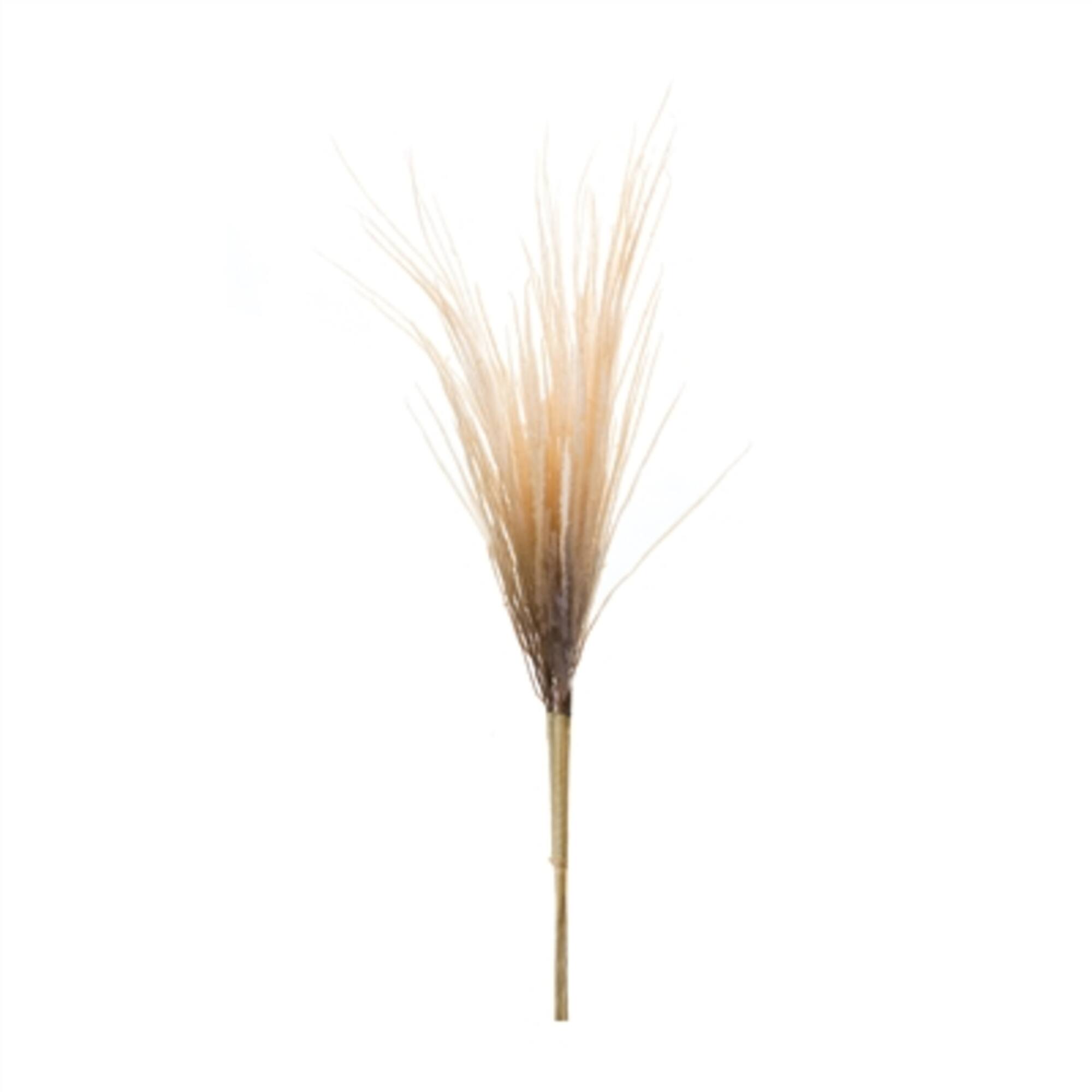 41" Grass Plume Bundles, 2ct.